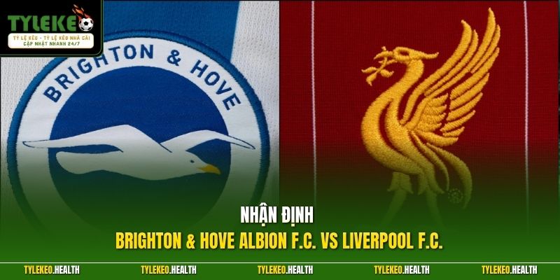 Nhận Định Brighton & Hove Albion F.C. Vs Liverpool F.C. 