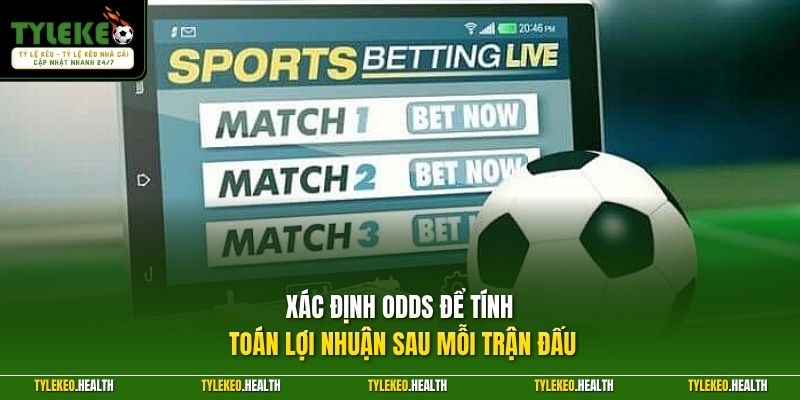 Xác định Odds để tính toán lợi nhuận sau mỗi trận đấu
